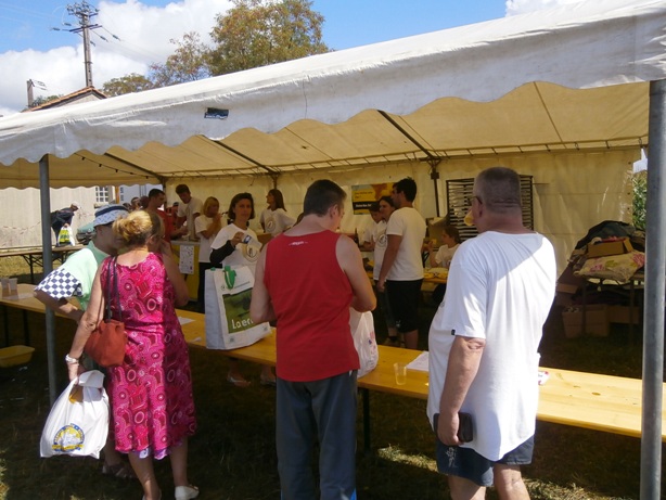 farf2013-3.jpg